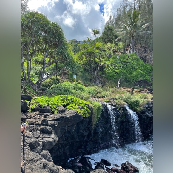 Meet your Posher, Tana - Picture 3 of 3